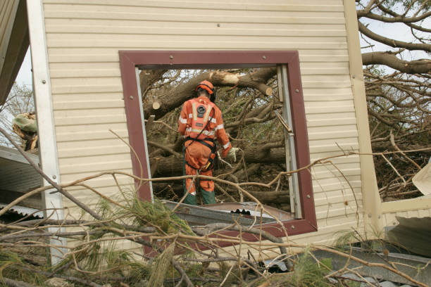 How Our Tree Care Process Works  in  Jamesport, NY