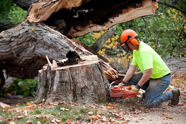 Leaf Removal in Jamesport, NY